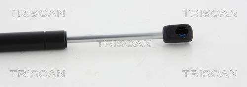 Muelle neumático Triscan A/S 8710 50249