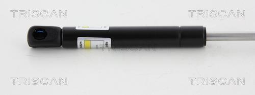 Muelle neumático Triscan A/S ref. 8710 50251