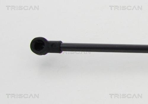 Vérin (Vérin de hayon) Triscan A/S ref. 8710 50253