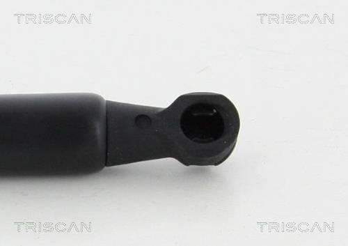 Vérin (Vérin de hayon) Triscan A/S ref. 8710 50253