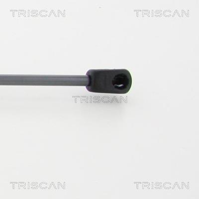 Vérin (Vérin de hayon) Triscan A/S 8710 50255