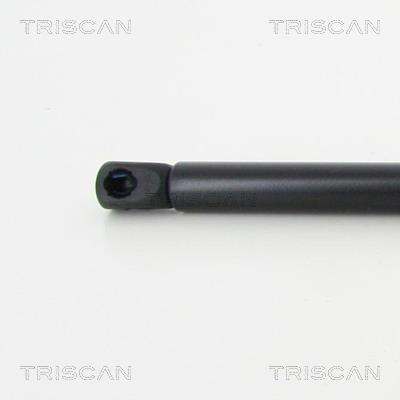 Vérin (Vérin de hayon) Triscan A/S 8710 50255