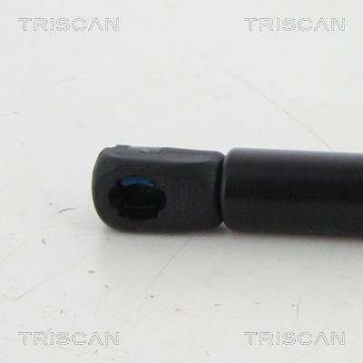 Muelle neumático Triscan A/S 8710 50258