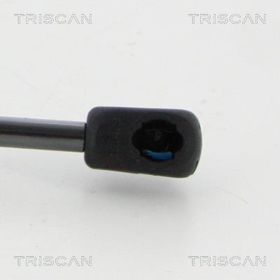 Muelle neumático Triscan A/S 8710 50258