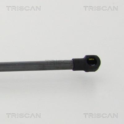 Vérin (Vérin de hayon) Triscan A/S 8710 50262