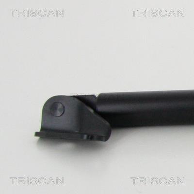 Vérin (Vérin de hayon) Triscan A/S 8710 50262