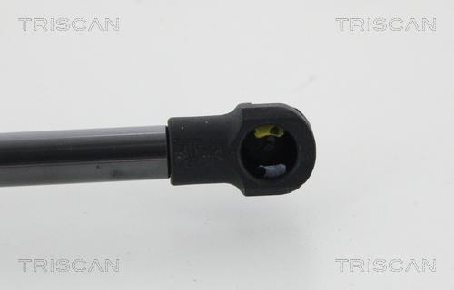 Vérin (Vérin de hayon) Triscan A/S 8710 50263