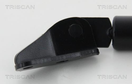 Vérin (Vérin de hayon) Triscan A/S 8710 50263