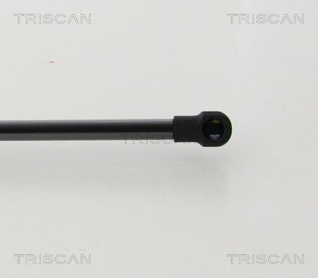 Vérin (Vérin de hayon) Triscan A/S 8710 50265