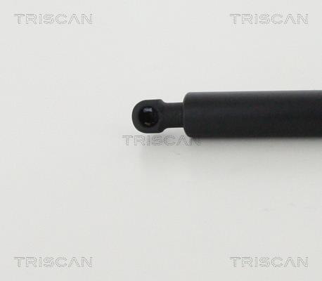 Vérin (Vérin de hayon) Triscan A/S 8710 50265