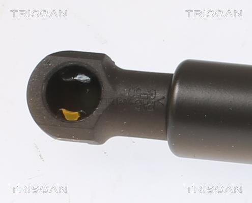 Vérin (Vérin de hayon) Triscan A/S ref. 8710 50266
