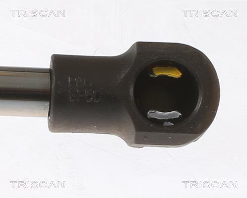 Vérin (Vérin de hayon) Triscan A/S ref. 8710 50266