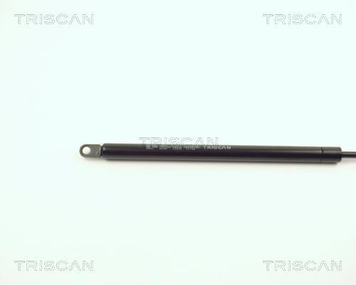 Vérin (Vérin de hayon) Triscan A/S ref. 8710 6501