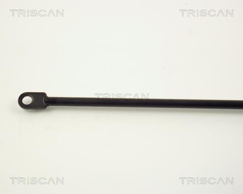 Vérin (Vérin de hayon) Triscan A/S ref. 8710 6501