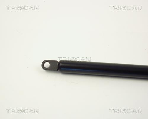 Vérin (Vérin de hayon) Triscan A/S ref. 8710 6502