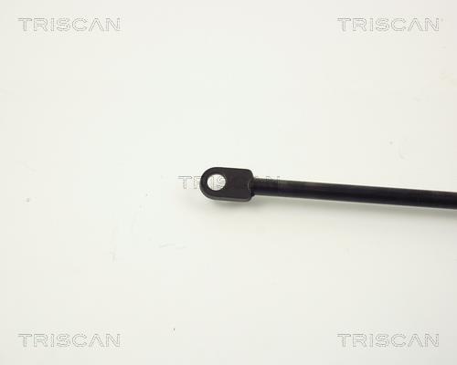 Vérin (Vérin de hayon) Triscan A/S ref. 8710 6502