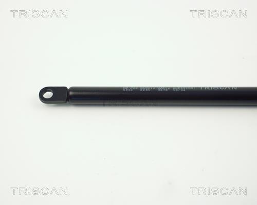 Vérin (Vérin de hayon) Triscan A/S ref. 8710 6504