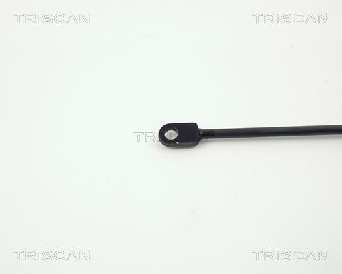 Vérin (Vérin de hayon) Triscan A/S ref. 8710 6504