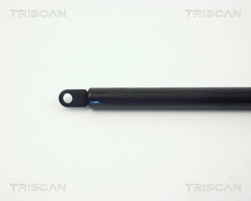 Vérin (Vérin de hayon) Triscan A/S ref. 8710 6506