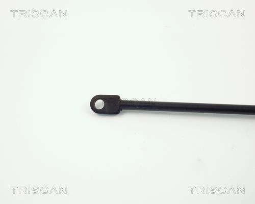 Vérin (Vérin de hayon) Triscan A/S ref. 8710 6506