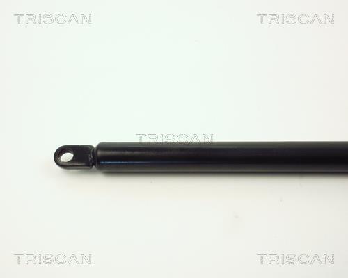 Vérin (Vérin de hayon) Triscan A/S 8710 6507