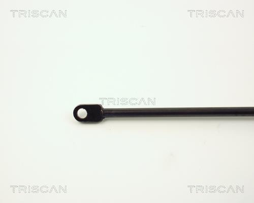 Vérin (Vérin de hayon) Triscan A/S 8710 6507