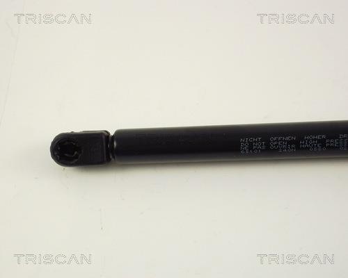 Vérin (Vérin de hayon) Triscan A/S ref. 8710 65101