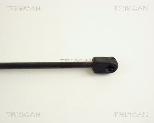 Vérin (Vérin de hayon) Triscan A/S ref. 8710 65101