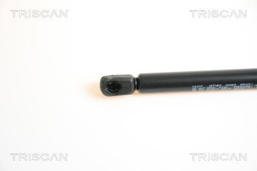 Vérin (Vérin de hayon) Triscan A/S ref. 8710 65103