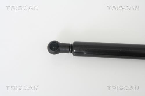 Vérin (Vérin de hayon) Triscan A/S ref. 8710 65104