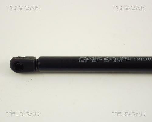Vérin (Vérin de hayon) Triscan A/S 8710 65201