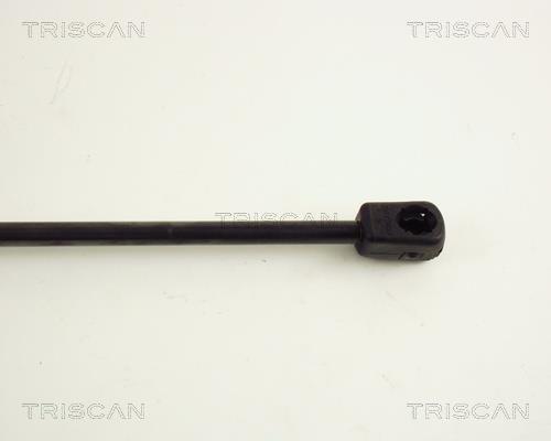 Vérin (Vérin de hayon) Triscan A/S 8710 65201