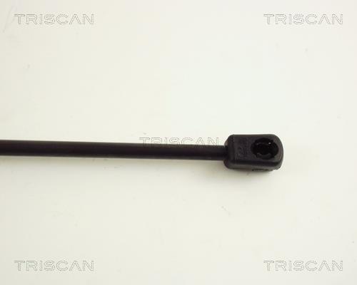 Vérin (Vérin de hayon) Triscan A/S ref. 8710 65202