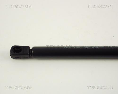 Vérin (Vérin de hayon) Triscan A/S ref. 8710 65204