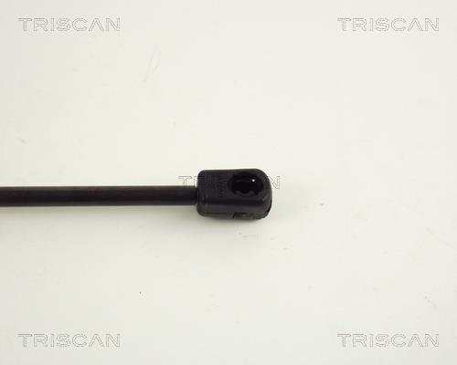Vérin (Vérin de hayon) Triscan A/S ref. 8710 65204