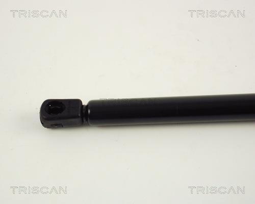 Vérin (Vérin de hayon) Triscan A/S ref. 8710 65205