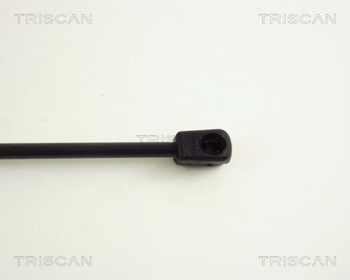 Vérin (Vérin de hayon) Triscan A/S ref. 8710 65205