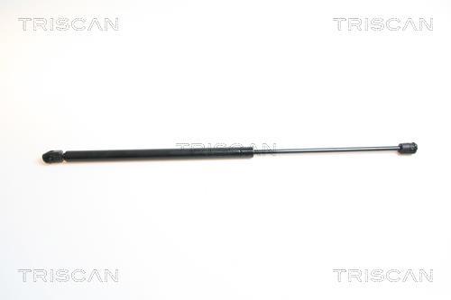 Vérin (Vérin de hayon) Triscan A/S 8710 65206
