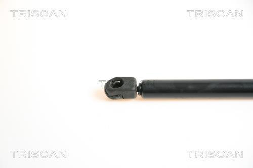 Vérin (Vérin de hayon) Triscan A/S 8710 65206