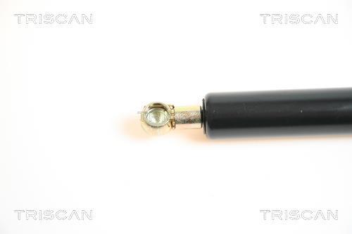 Vérin (Vérin de hayon) Triscan A/S 8710 65208