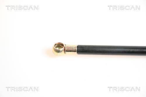 Vérin (Vérin de hayon) Triscan A/S 8710 65208