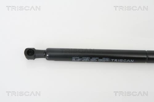 Vérin (Vérin de hayon) Triscan A/S 8710 65209