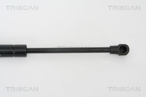 Vérin (Vérin de hayon) Triscan A/S 8710 65209