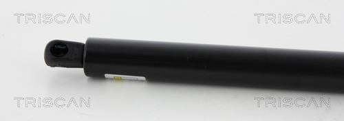 Vérin (Vérin de hayon) Triscan A/S ref. 8710 65210