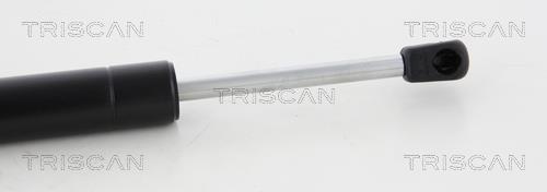 Vérin (Vérin de hayon) Triscan A/S ref. 8710 65210
