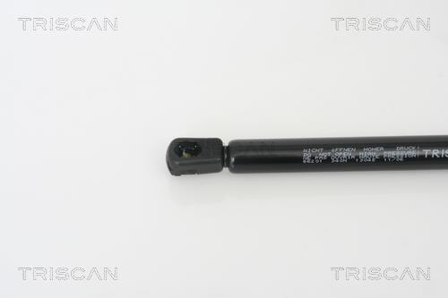 Vérin (Vérin de hayon) Triscan A/S ref. 8710 66201