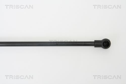 Vérin (Vérin de hayon) Triscan A/S ref. 8710 66201