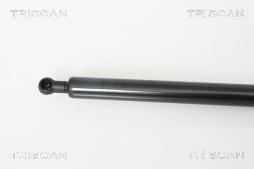 Muelle neumático Triscan A/S 8710 66203