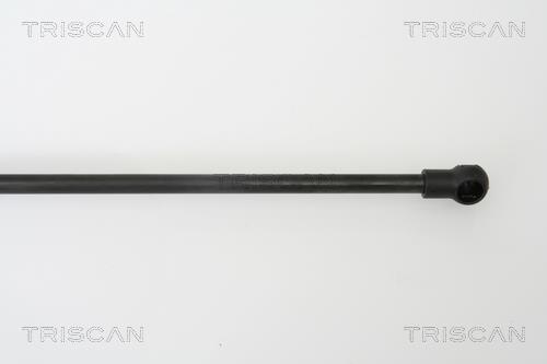 Muelle neumático Triscan A/S 8710 66203
