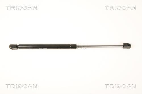 Vérin (Vérin de hayon) Triscan A/S 8710 66204